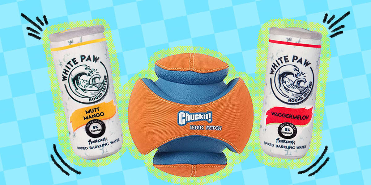 9 Outdoor Dog Toys For Pups Who Love The Backyard DodoWell The Dodo