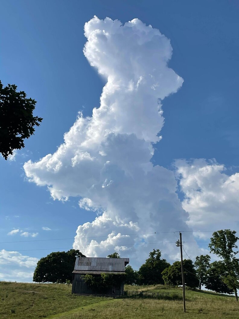 Woman Looking At The Sky Is Shocked To See An Adorable Cloud Dog The Dodo