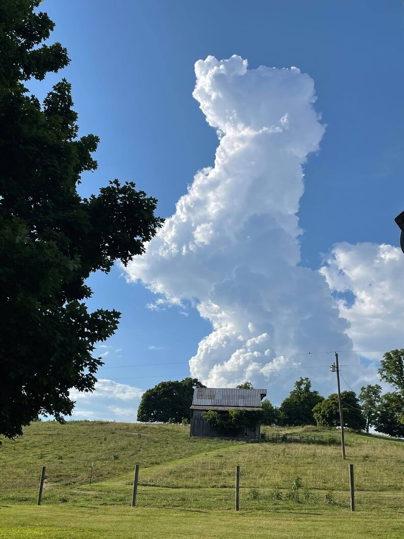 Woman Looking At The Sky Is Shocked To See An Adorable Cloud Dog The Dodo
