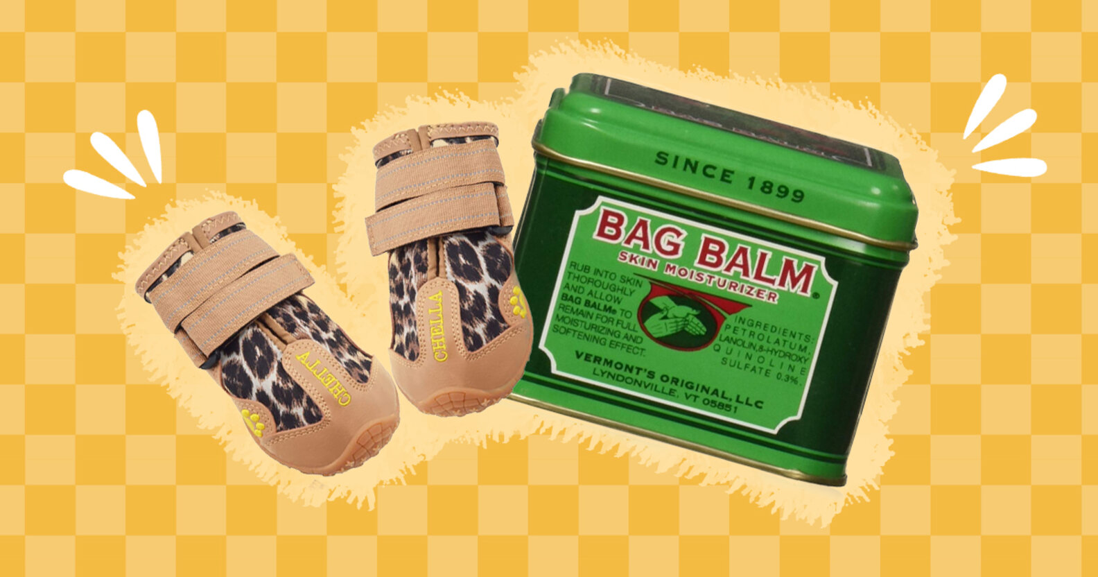 How To Heal Cracked Dog Paws DodoWell The Dodo