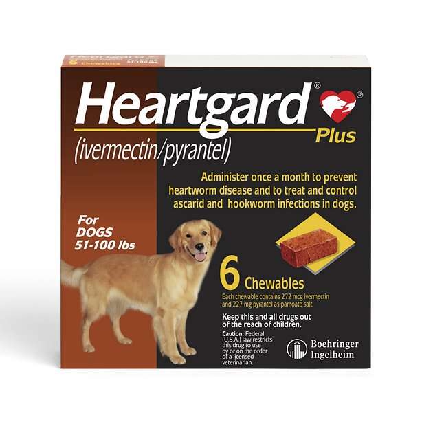 The Best Dewormers For Dogs - Dodowell - The Dodo