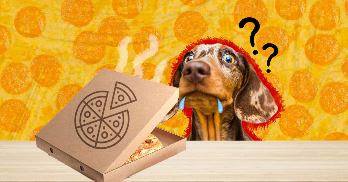 Can Dogs Eat Pizza Mushrooms