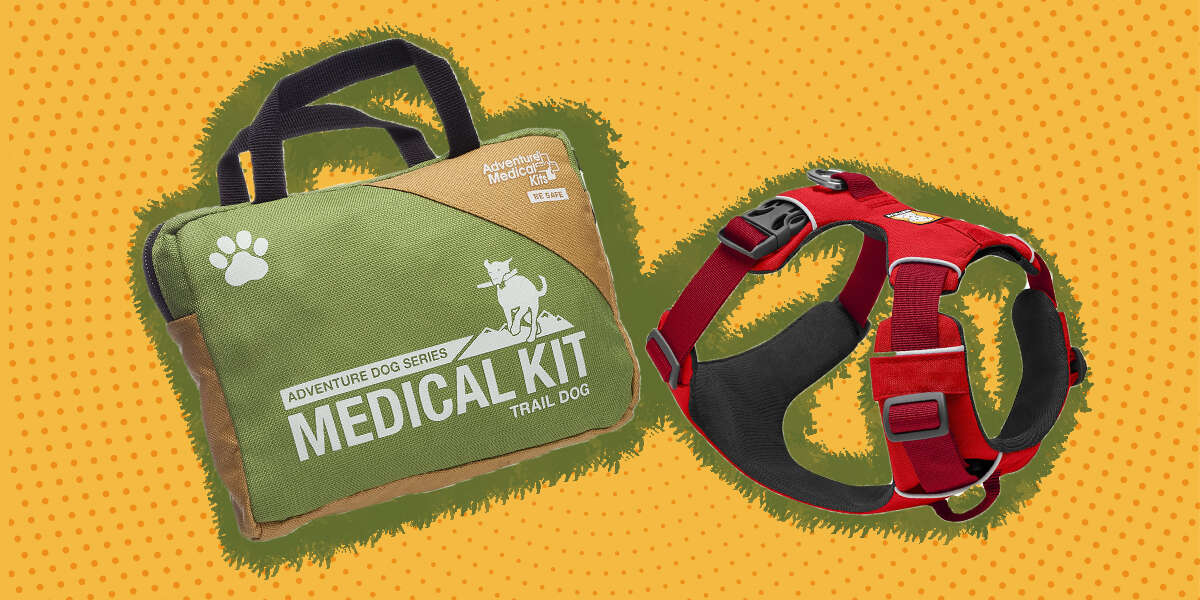 11 Dog Camping Supplies For A Safe Adventure DodoWell The Dodo