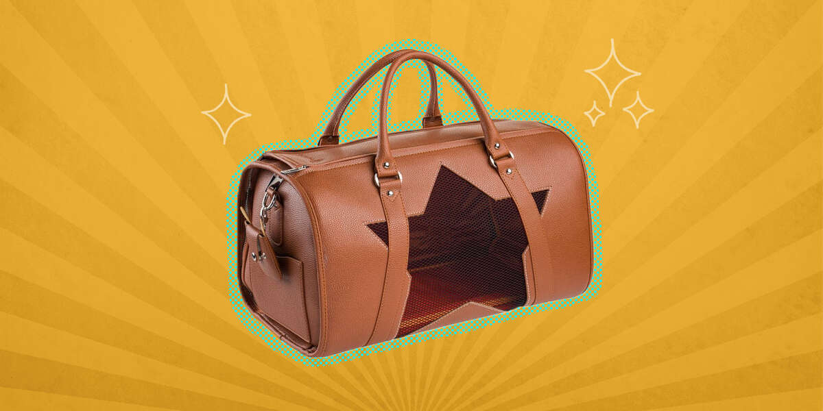 9 Cute Cat Carriers For Stylish Cats DodoWell The Dodo