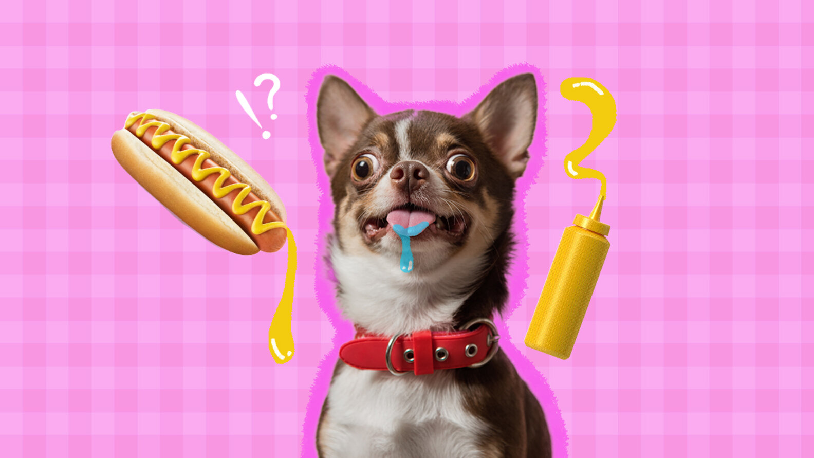 Can Dogs Eat Mustard? DodoWell The Dodo