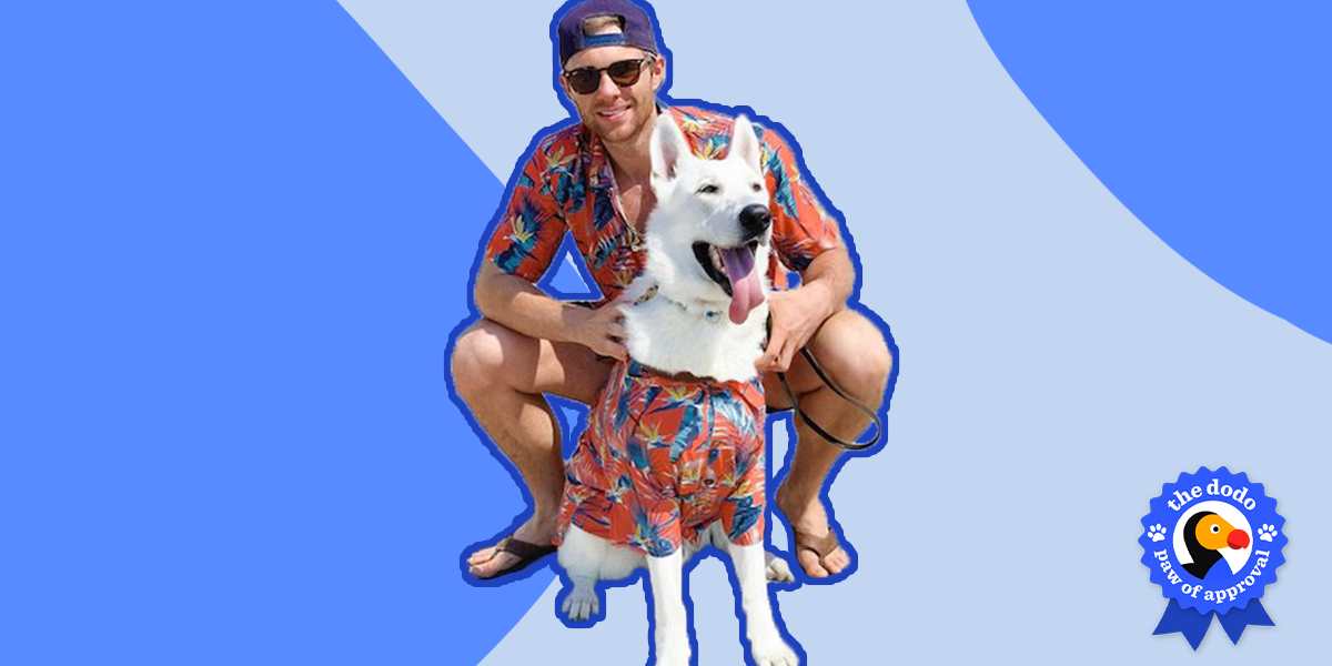 Dog Threads Reviews Are They Cute? Paw of Approval The Dodo