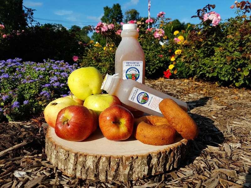 Alstede Farm Chester, NJ Thrillist