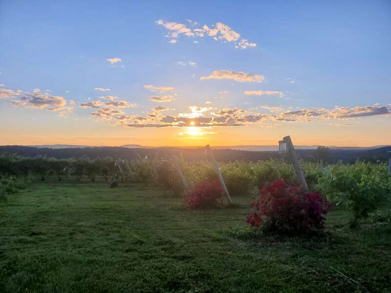 Wilkens Fruit & Fir Farm Yorktown Heights, NY Thrillist