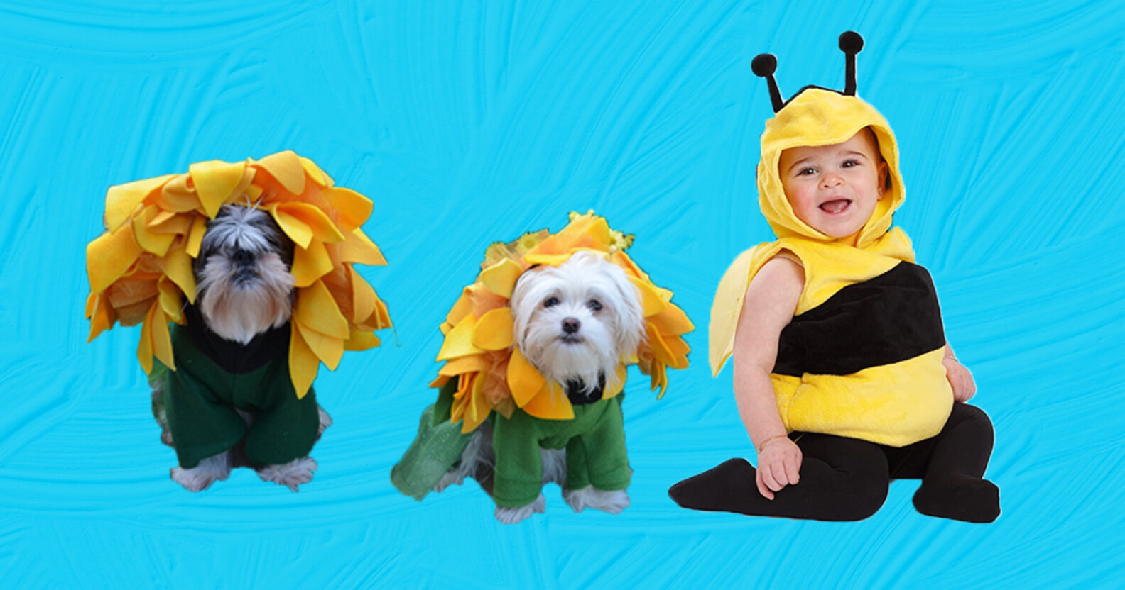 The Perfect Halloween Costumes For Kids And Their Pets The Dodo