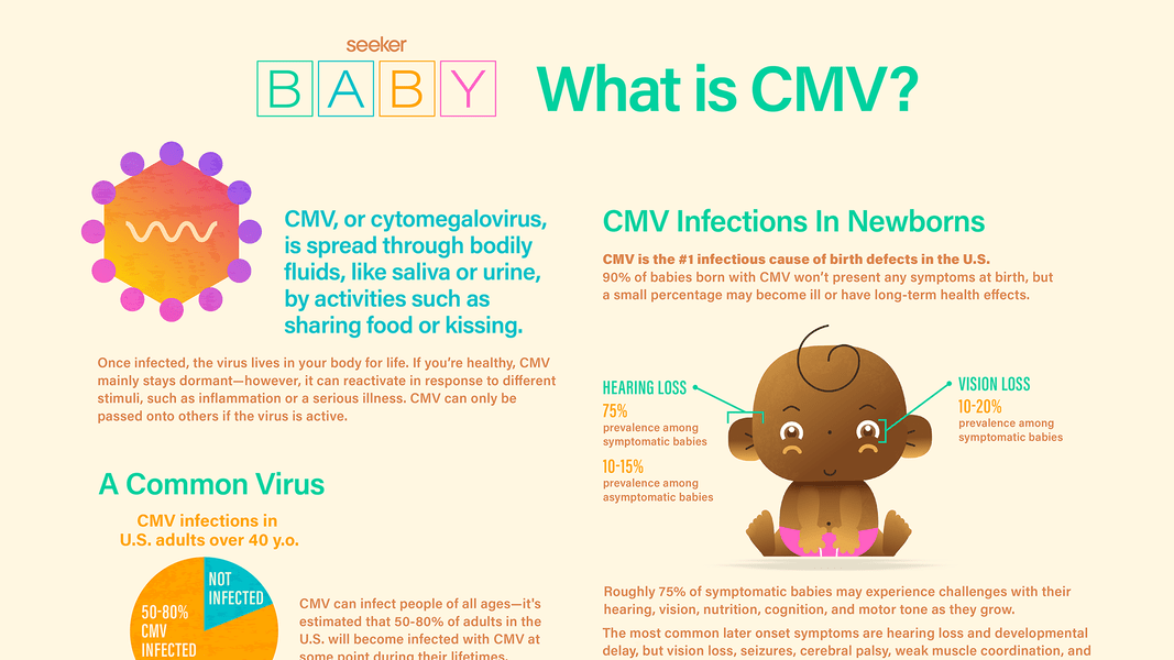 Study Guide Baby CMV Info Seeker
