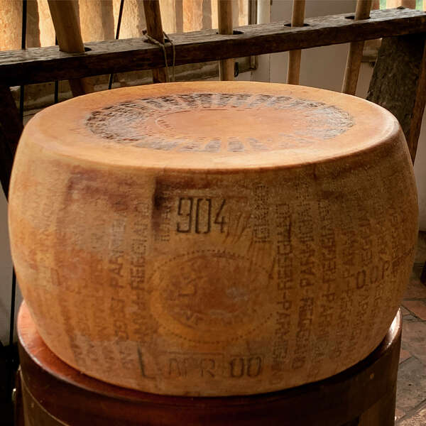 A 21YearOld Parmesan Cheese Wheel Is For Sale Thrillist
