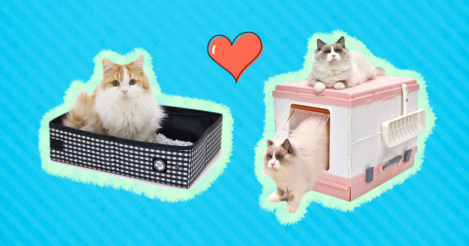 6 Best Travel Litter Boxes DodoWell The Dodo