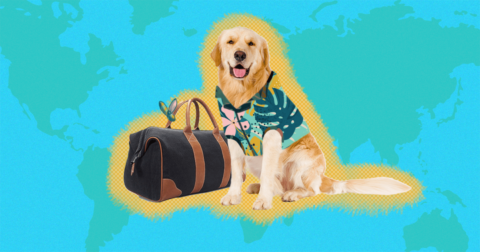 10 Dog Friendly Vacations For The Ultimate Adventure DodoWell The Dodo