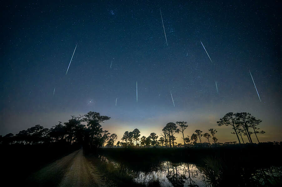 Leonid Meteor Shower 2021 How to Watch Tonight's Meteor Shower Peak