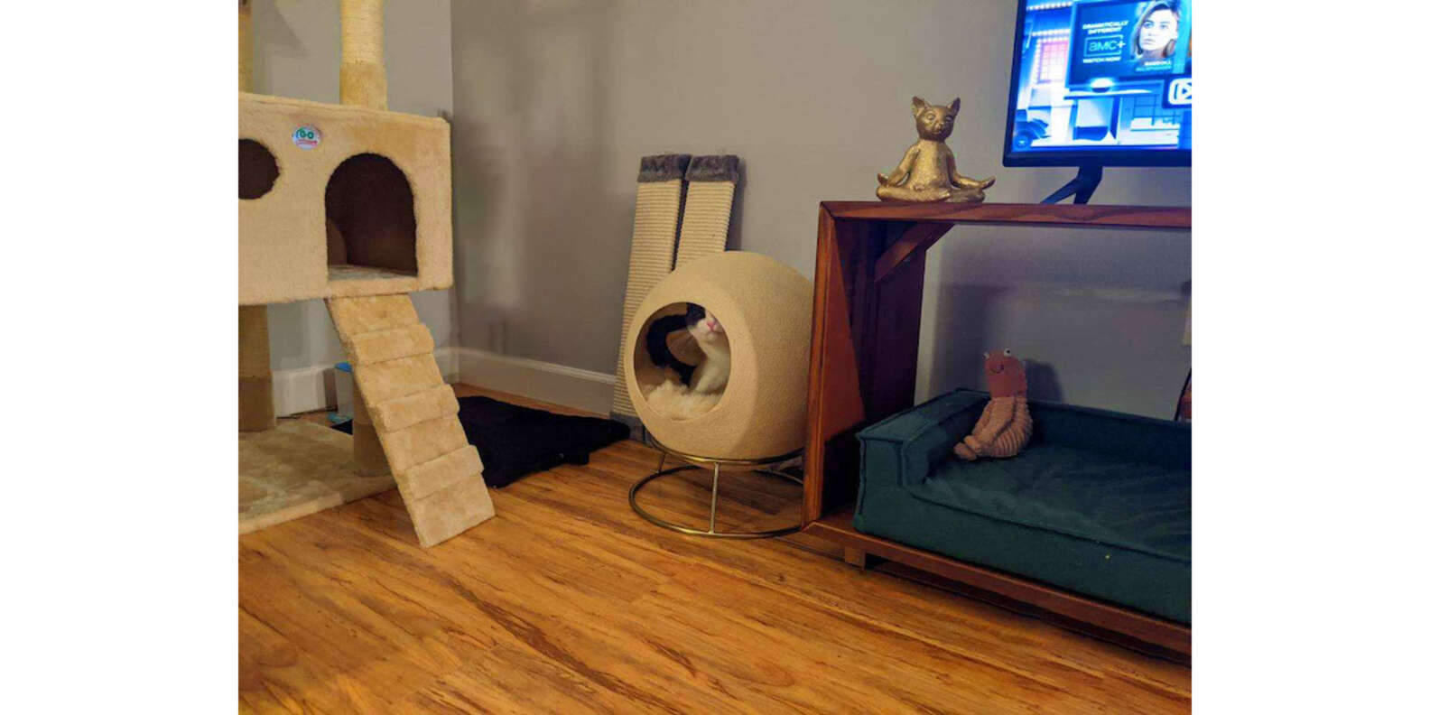 Tuft + Paw Stellar Cat Bed Is It Actually Worth It? Paw of Approval