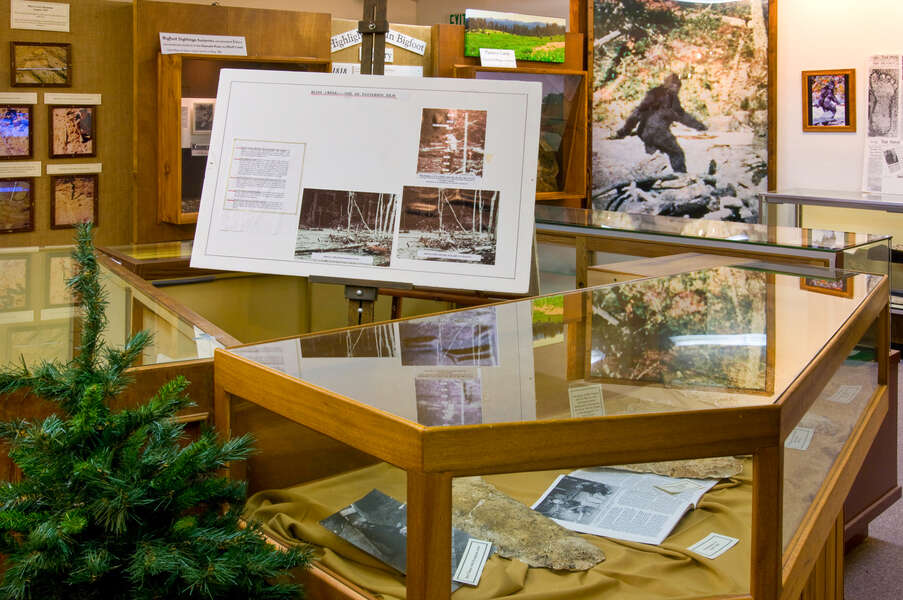 Best Things to Do in Willow Creek, California Vacation Apartment News