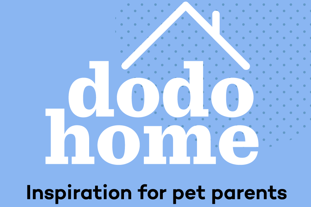 What Sheets Are Best For Dog Hair