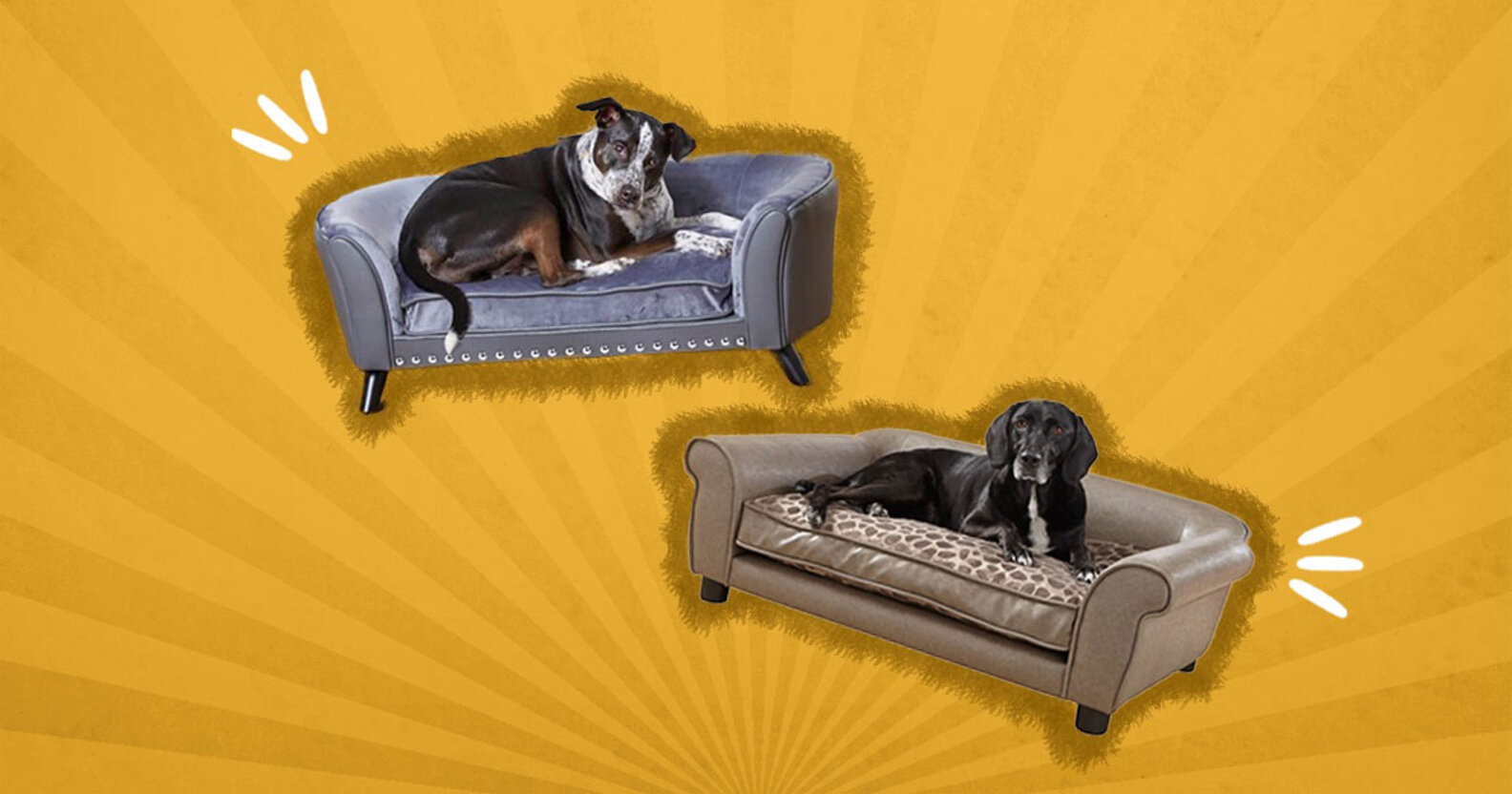 Best Dog Couch Beds So Your Pup Can Stay Off Your Sofa DodoWell The