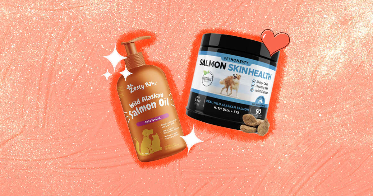 Does Salmon Oil Give Dogs Diarrhea