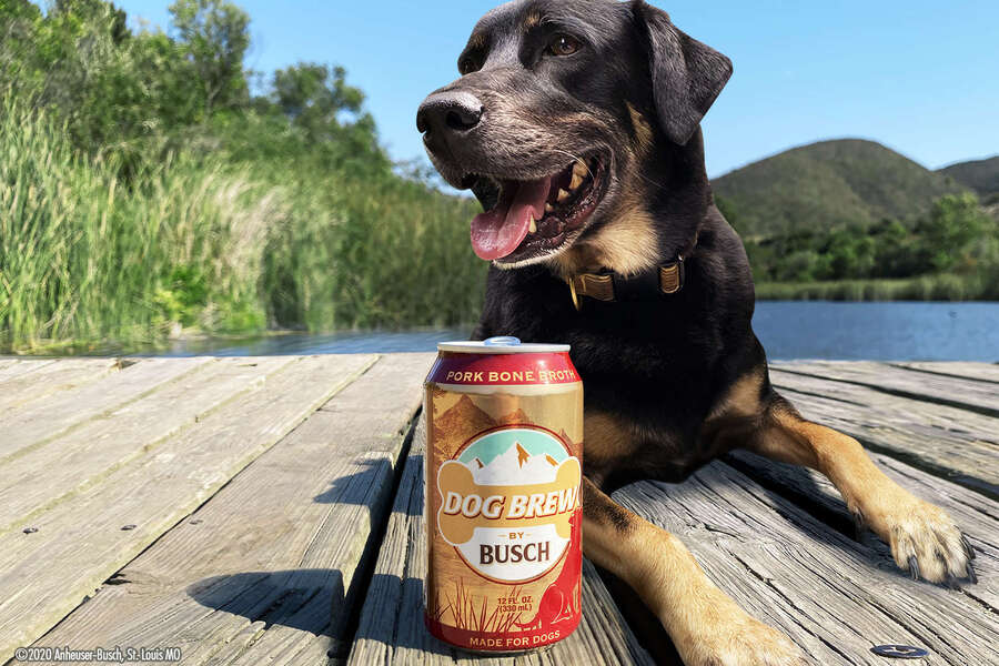Busch Beer Wants to Put Your Dog on Its New Dog Brew Cans Thrillist