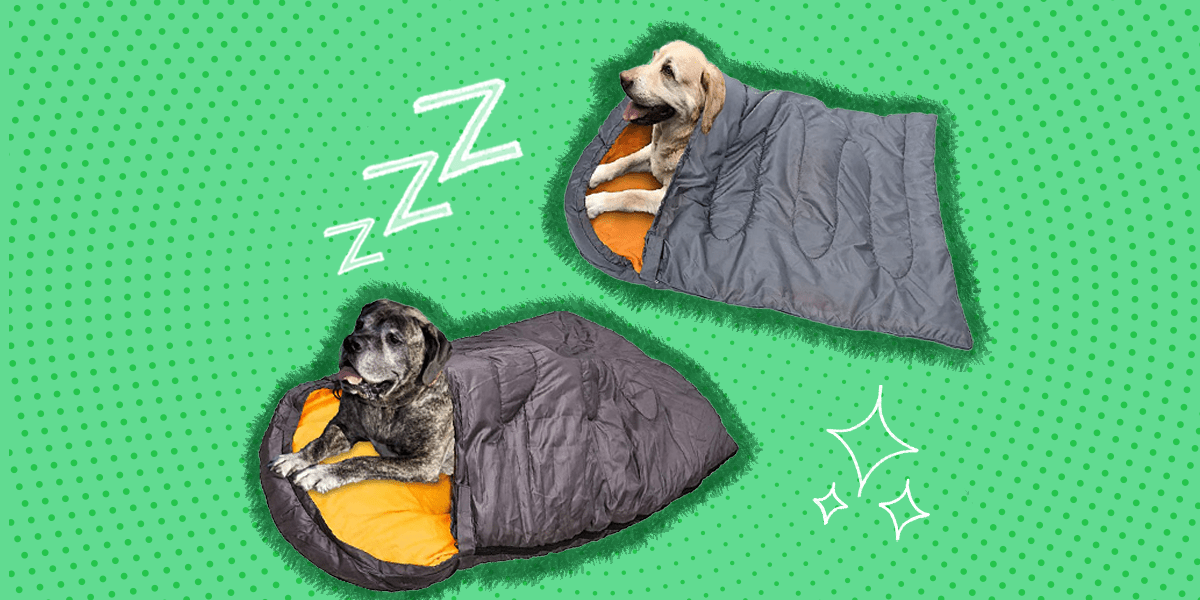 5 Dog Sleeping Bags For Camping, Hiking Or Snuggling At Home DodoWell
