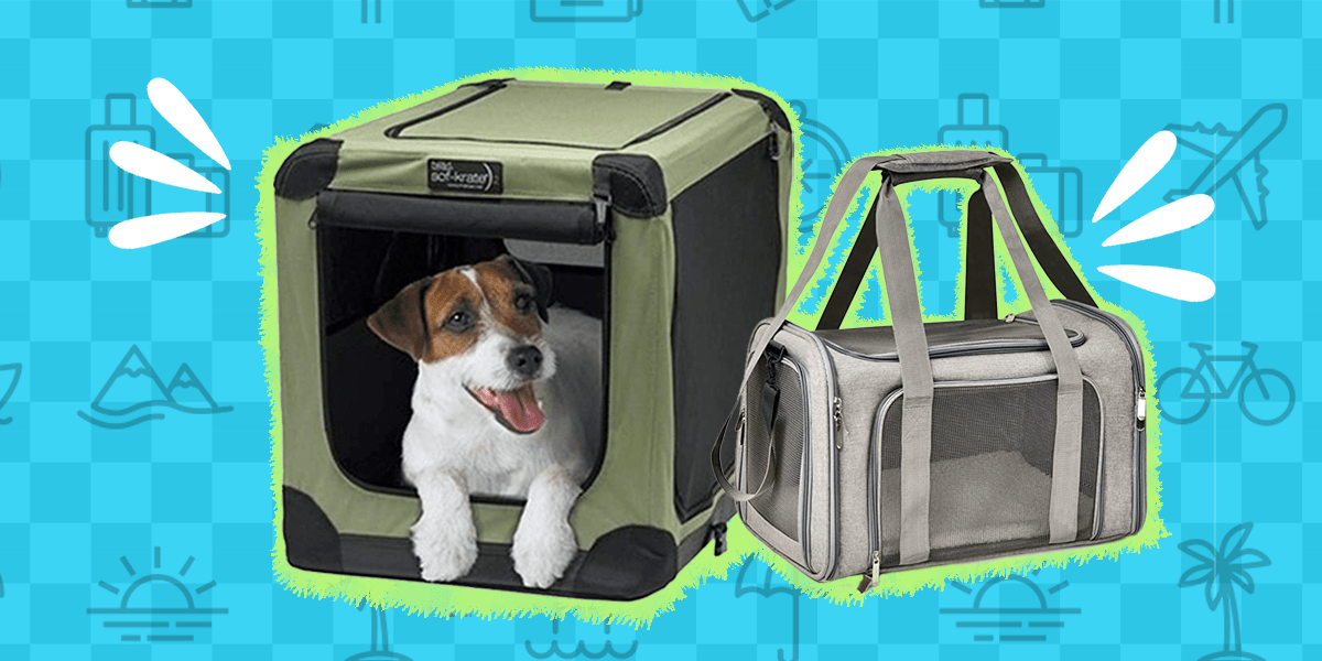 8 Dog Crates For Every Type Of Pup DodoWell The Dodo