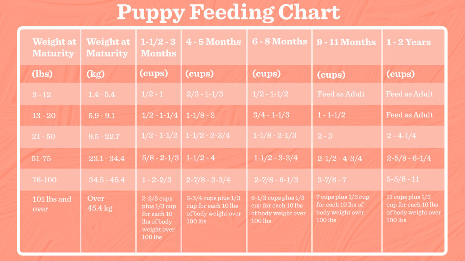 How Much To Feed A Puppy (And How Often), According To A Vet - DodoWell