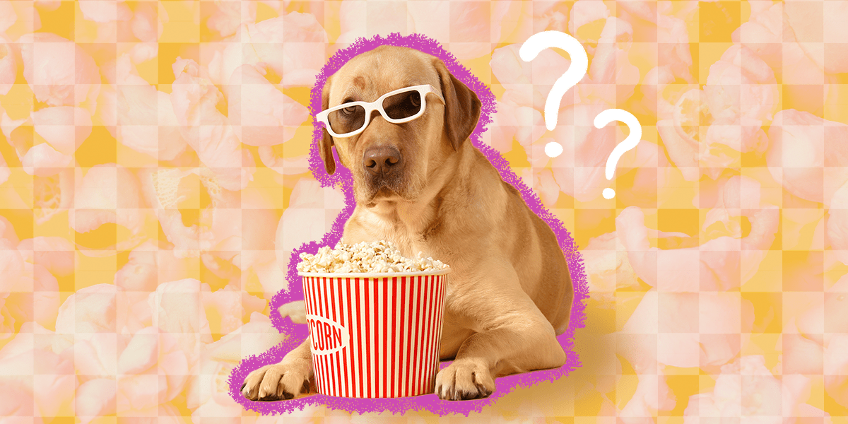 Does Popcorn Give Dogs Diarrhea