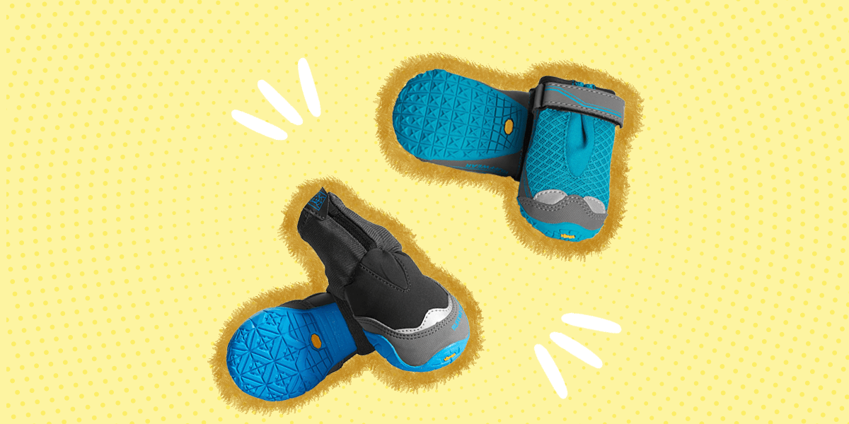4 Best Dog Hiking Boots To Keep Your Pup’s Paws Protected On The Trail