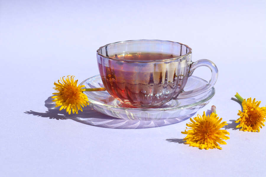 How to Make Dandelion Wine, Tea, and More Thrillist