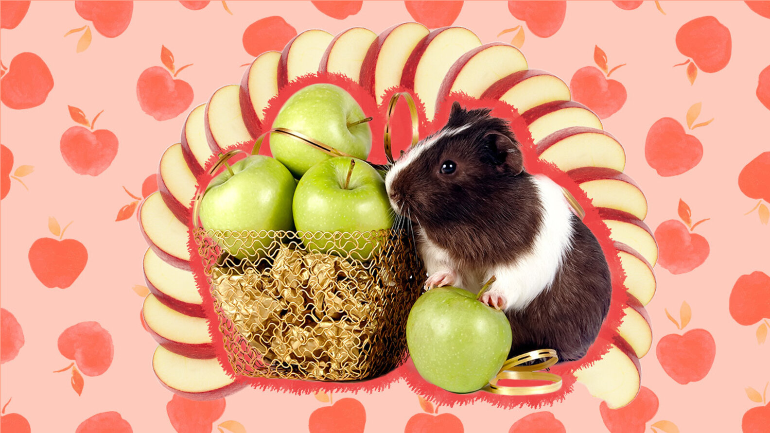 Can Guinea Pigs Eat Apples? Our Veterinary Experts Weigh In DodoWell