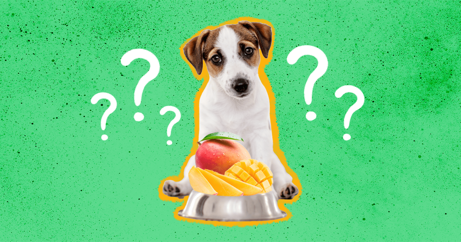 Can Dogs Eat Mango? And How Much Is Safe? DodoWell The Dodo