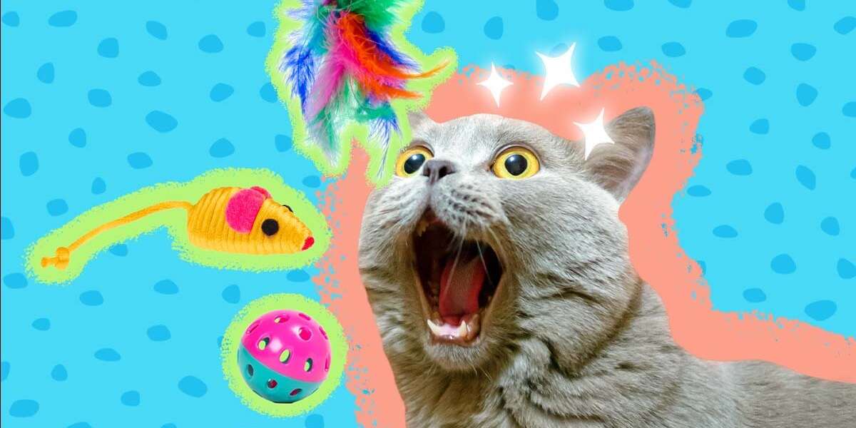 9 Best Cat Toys For Your Feline Friend DodoWell The Dodo