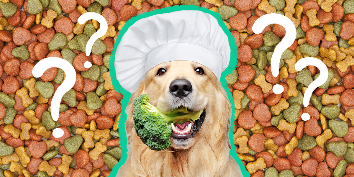 Fresh Dog Food Is It Healthier For Your Pup? DodoWell The Dodo