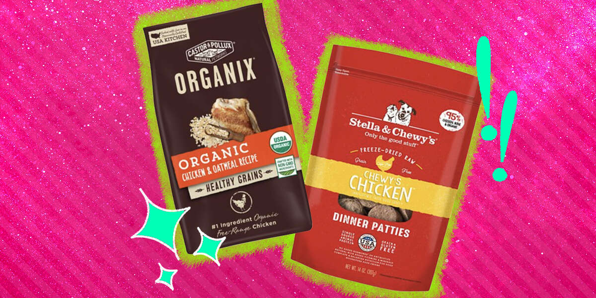 Organic Dog Food 5 Options Your Pup Will Drool Over DodoWell The Dodo