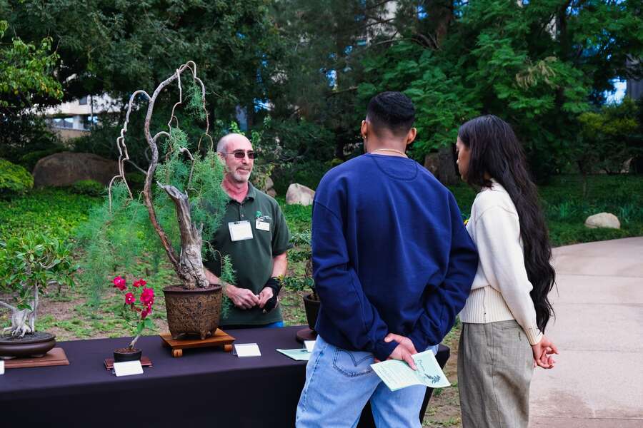 Best Date Ideas in Phoenix Fun & Romantic Spots for Date Night Thrillist