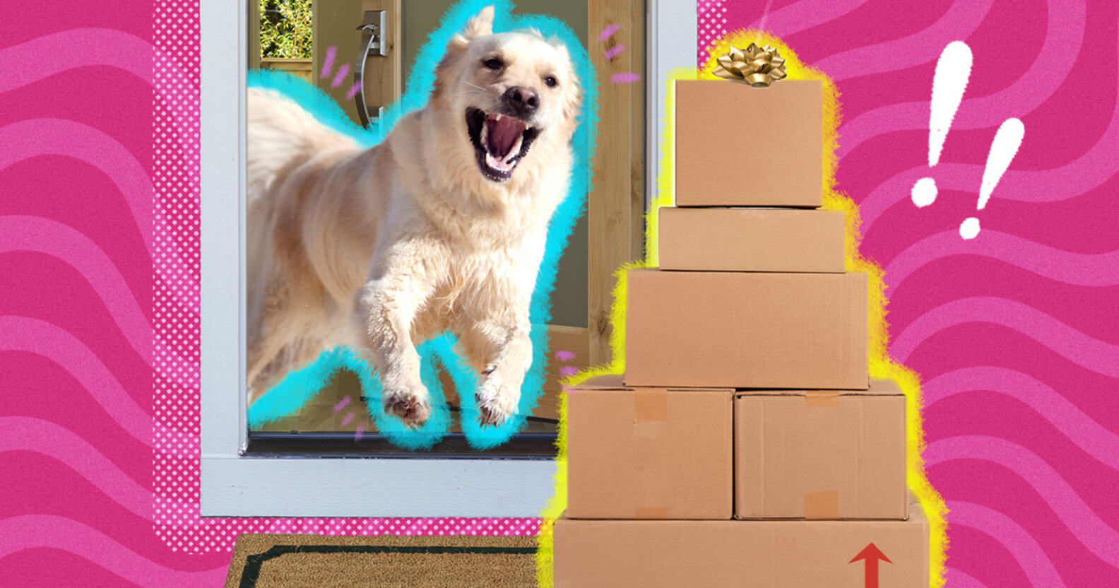 Chewy’s Blue Box Event The Best Deals On Pet Treats, Toys And More DodoWell The Dodo