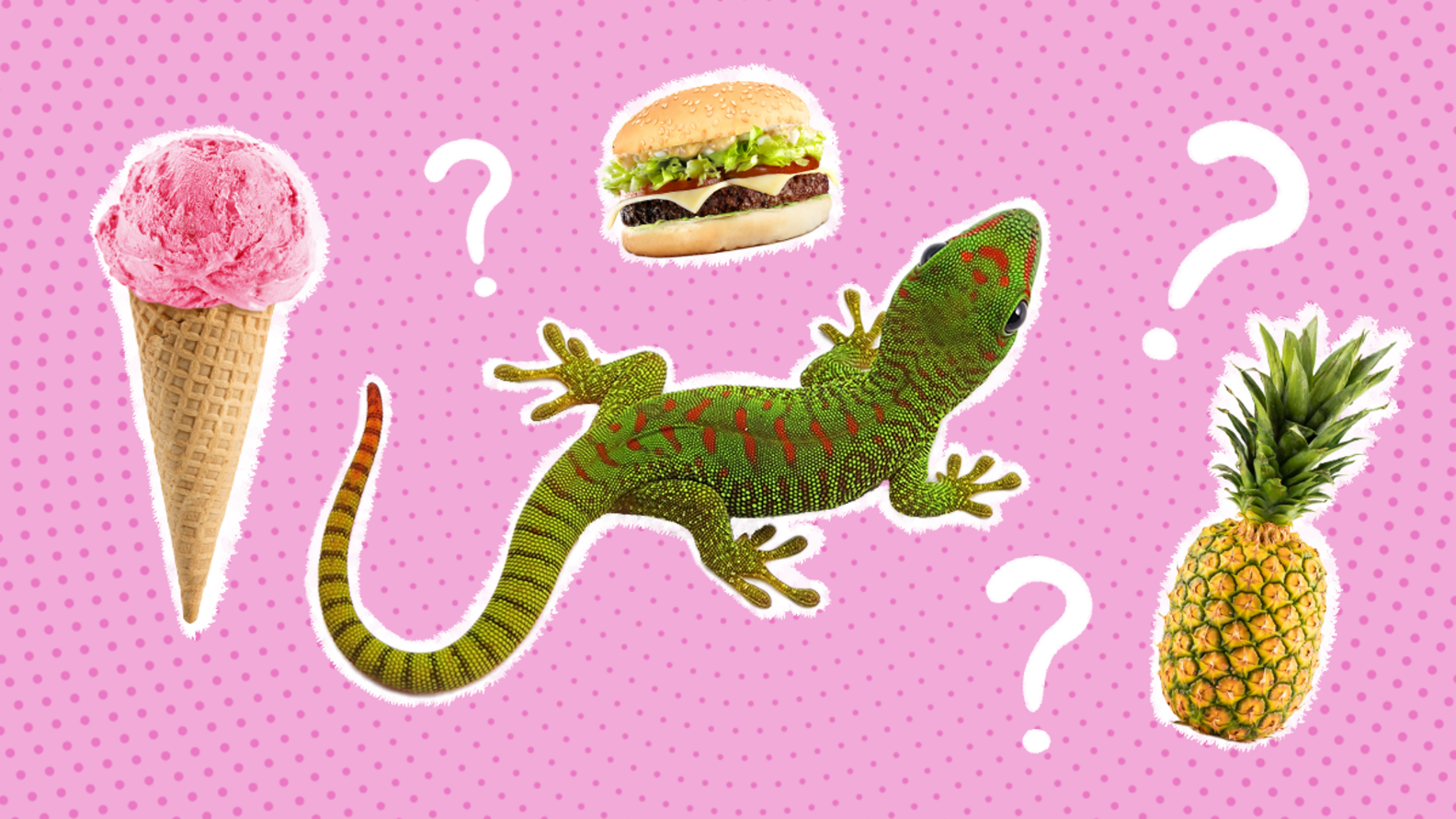 What Do Geckos Eat? A Guide To FeedingYour Gecko A Healthy Diet
