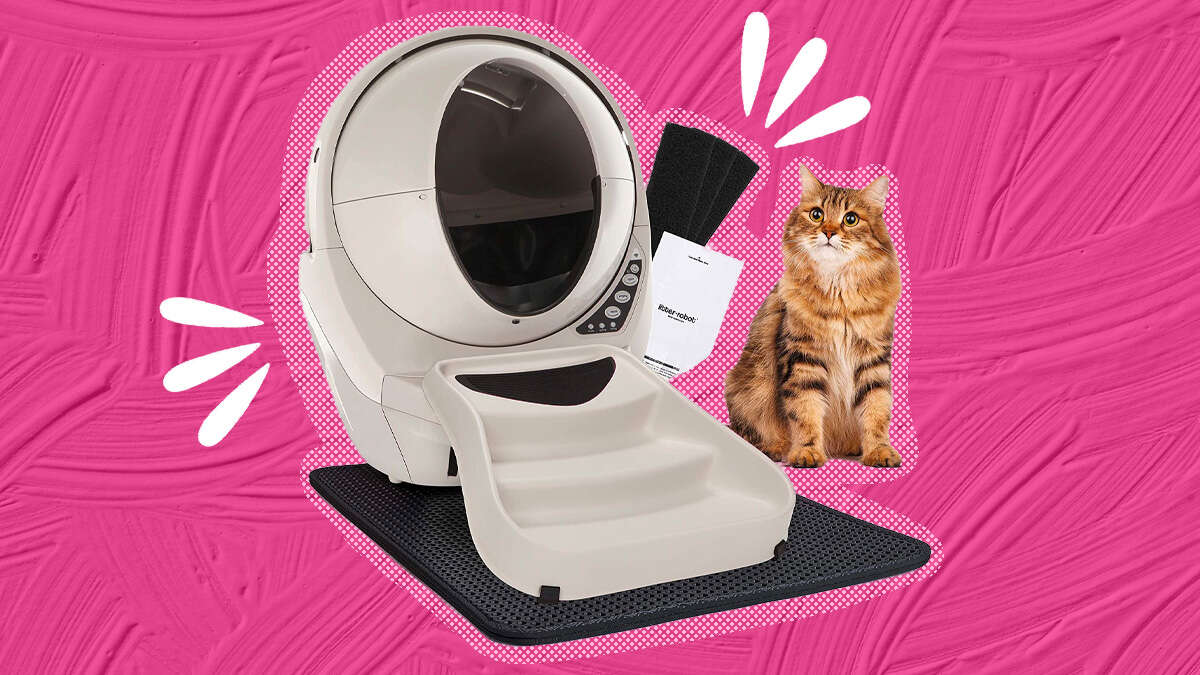 Affordable Self Cleaning Litter Box vlr.eng.br