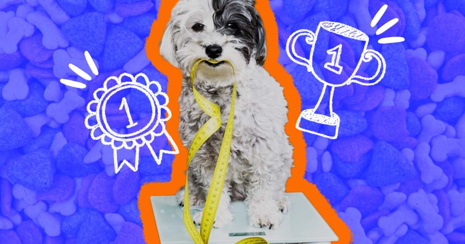 LowFat Dog Food The 5 Best Options To Help With Weight And Other