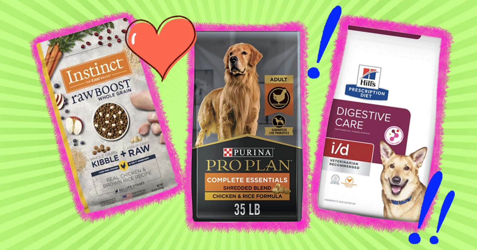 Healthiest Dog Food What To Look For And 12 VetApproved Options
