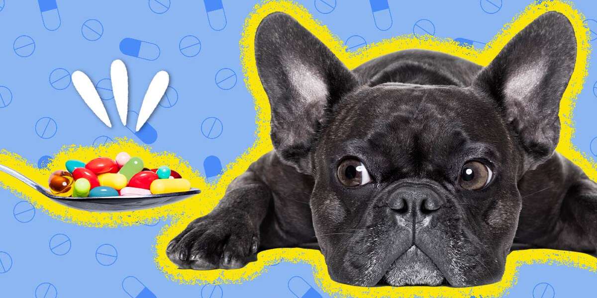 Anxiety Meds For Dogs How Well Do They Work? And When Do Pets Need