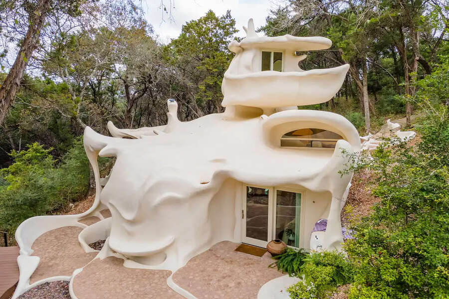 Bloomhouse Airbnb Rental in West Austin looks like a usual mushroom