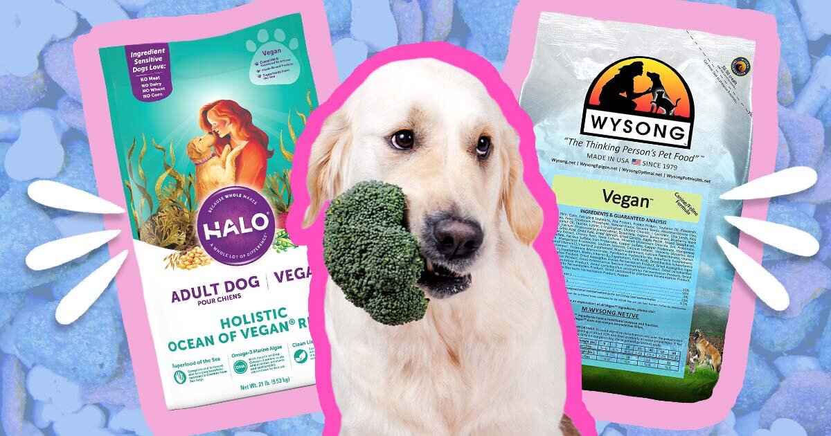 Vegan Dog Food Brands And What Pet Parents Should Know