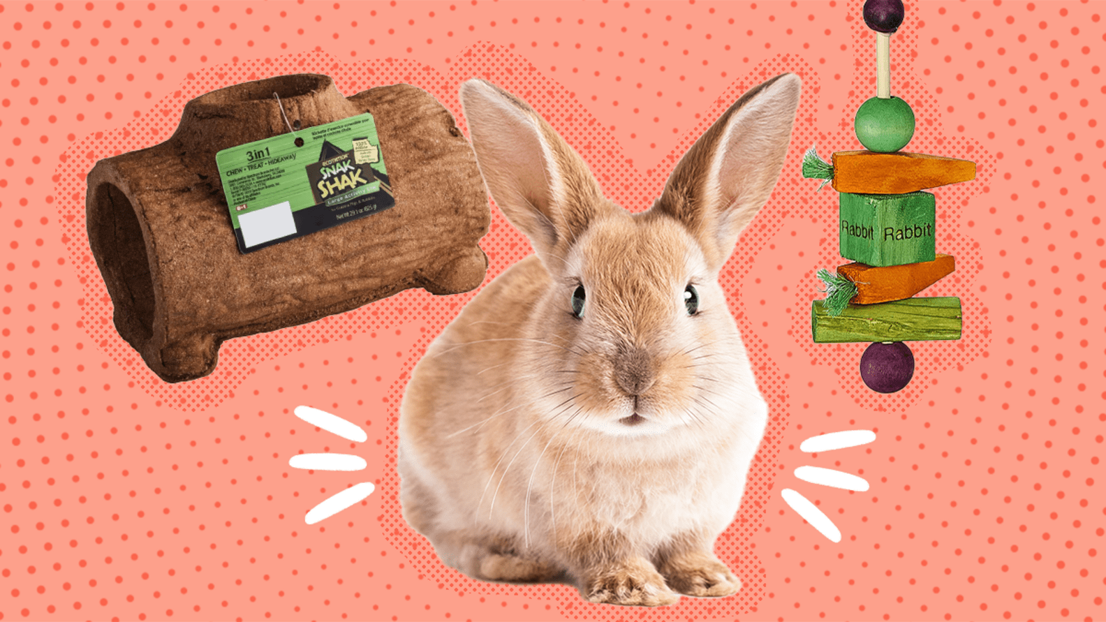 Rabbit Toys The 8 Best Options For Chewing, Foraging And Hopping
