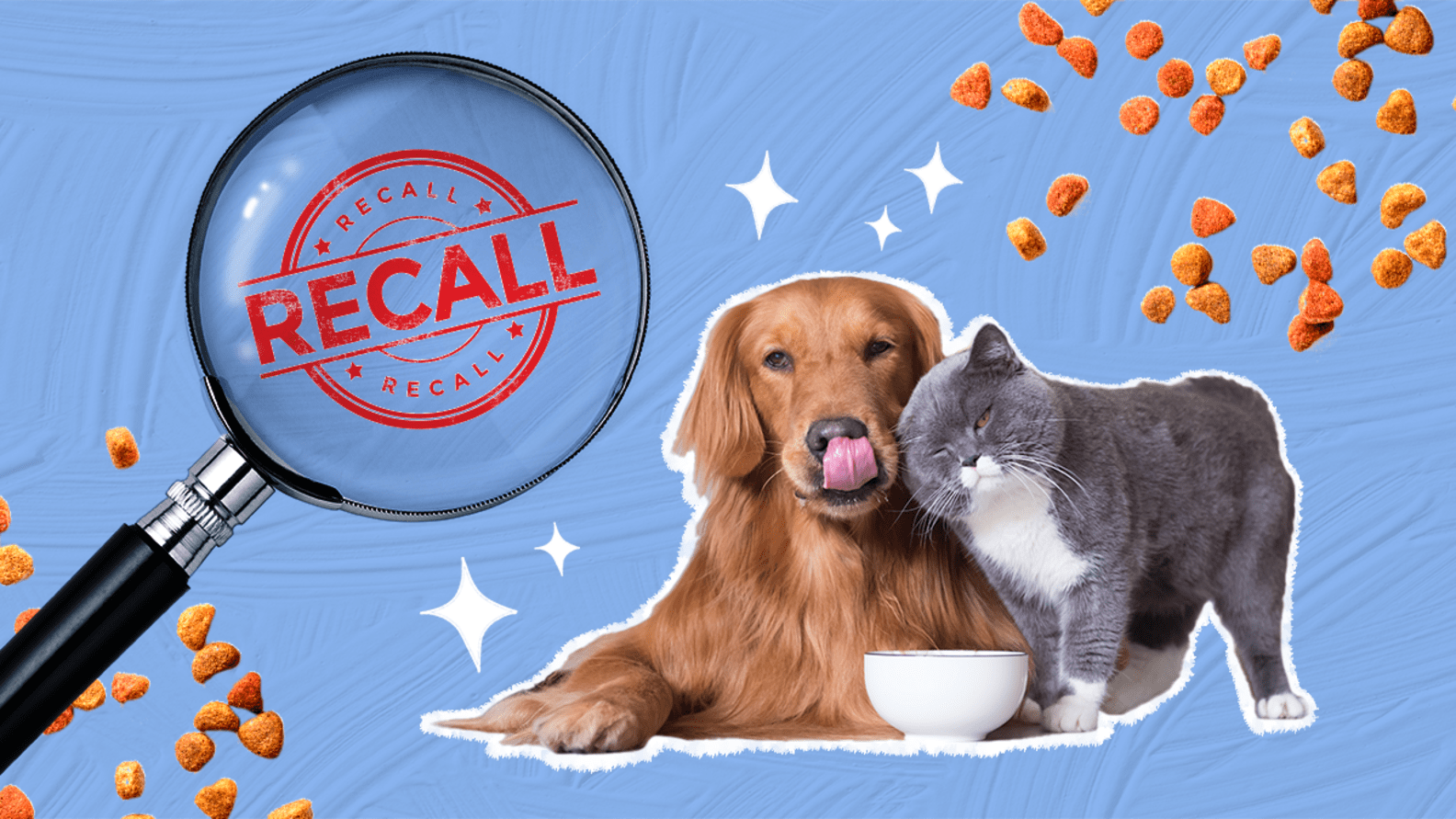 Pet Food Recall Every Brand That’s Been Recalled In The Past Five