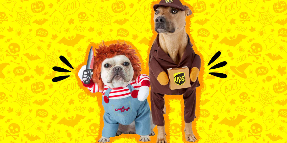 Funny Dog Costumes 8 Picks Sure To Slay This Halloween DodoWell