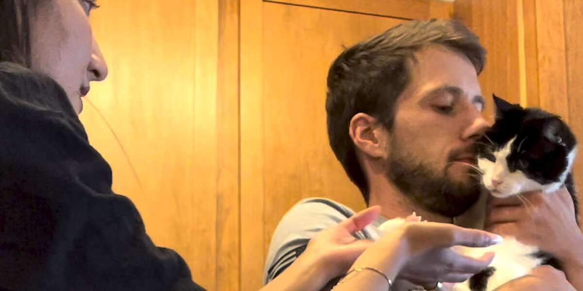 This Cat Is Obsessed With Potatoes Videos The Dodo