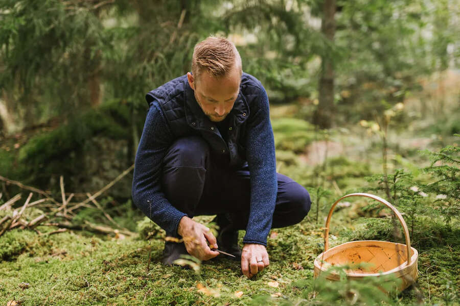 Forage Edible Plants & Mushrooms with These Airbnb Experiences Thrillist