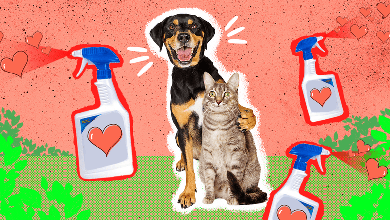 Pet-Safe Weed Killer: The 3 Best Options, Plus What To Look For And